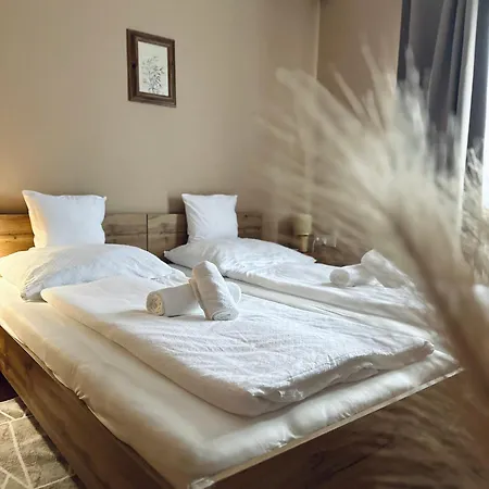 فندق مبيت وإفطار Family Panzio 3*
