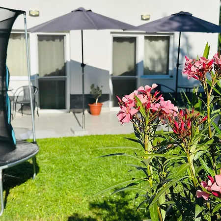 Family Panzio فندق مبيت وإفطار 3*